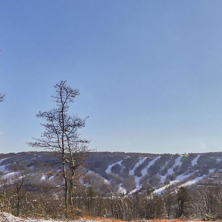 Northridge 199 Villa Tannersville Luaran gambar