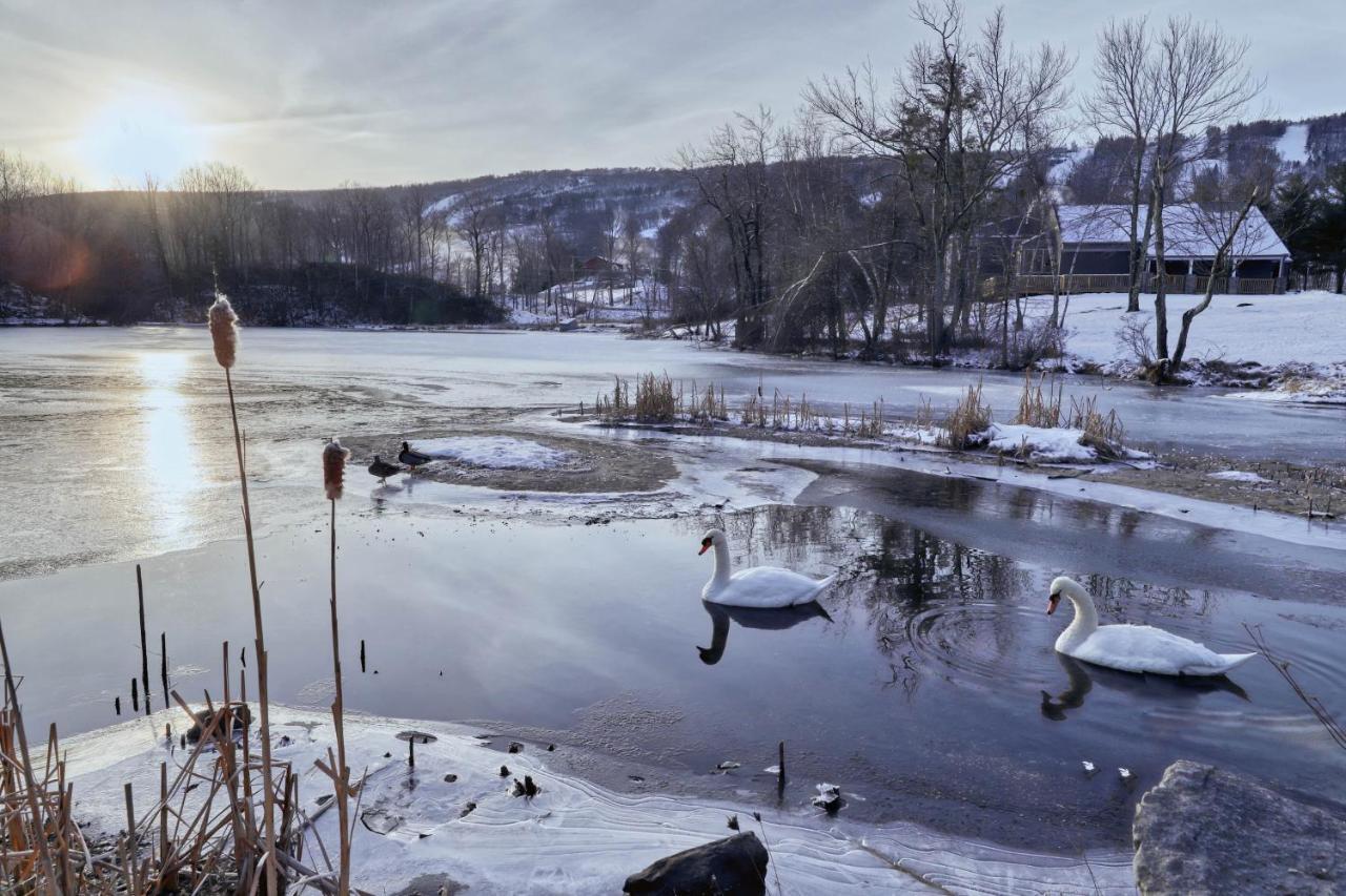 Northridge 199 Villa Tannersville Luaran gambar